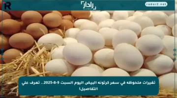تغيرات ملحوظة في سعر كرتونة البيض اليوم السبت 9-8-2025.. تعرف على التفاصيل!